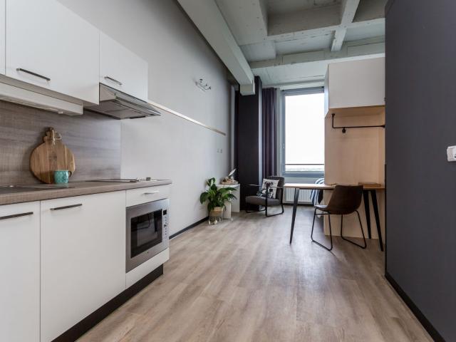 Studio De Lampendriessen 31 623 5612 AH Eindhoven