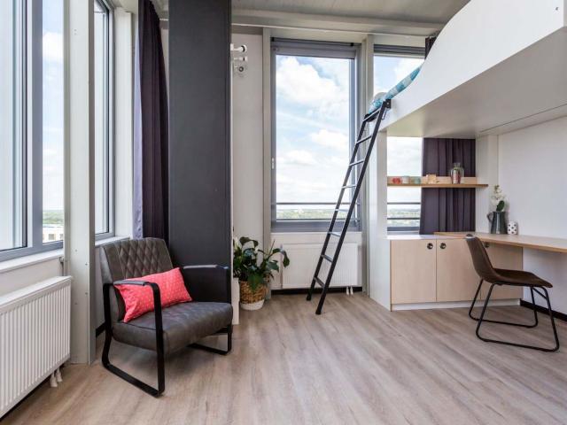 Studio De Lampendriessen 31 819 5612 AH Eindhoven