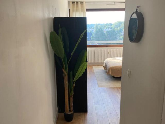 Studio entièrement rénové à Gaillard