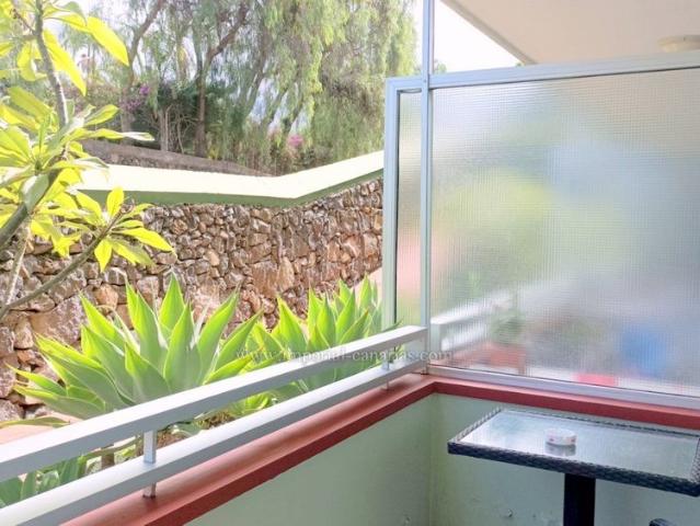 Studio for long term rent very central near Lake and Martianez Beach