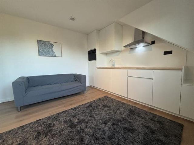 Studio for rent immediately!