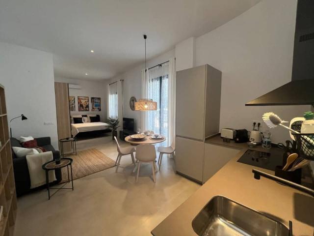 Studio for rent in Centro, Málaga city, Málaga