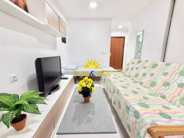 Studio for rent in Centro, Torrevieja, Alicante
