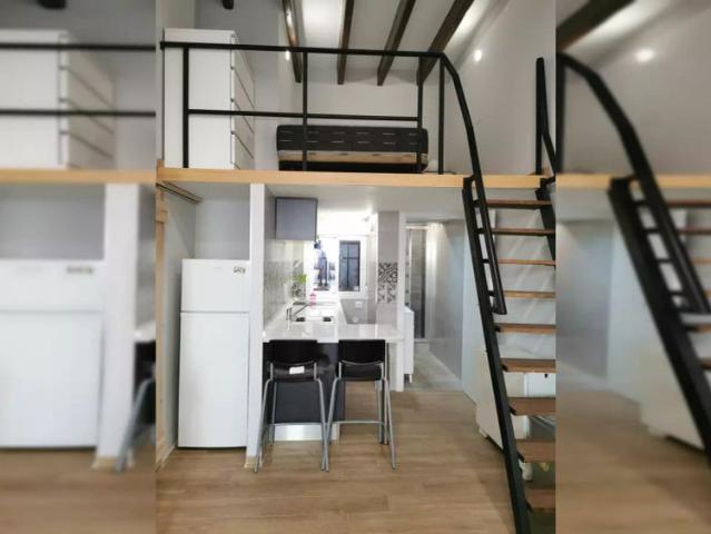Studio for rent in Cruz Roja Capuchinos, pets allowed