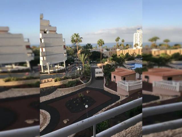 Studio for rent in Adeje