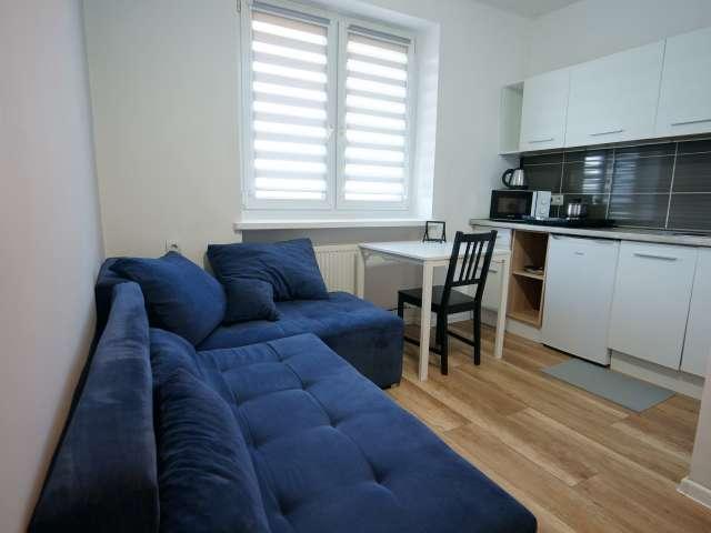 Studio for rent in Bałuty Centrum, Łódź