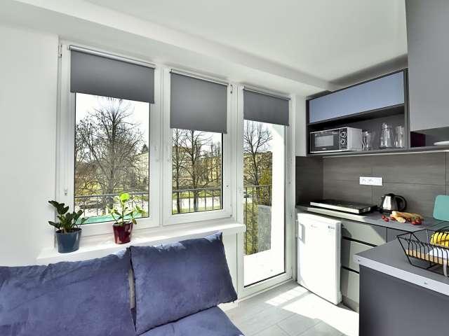 Studio for rent in Bałuty Centrum, Łódź