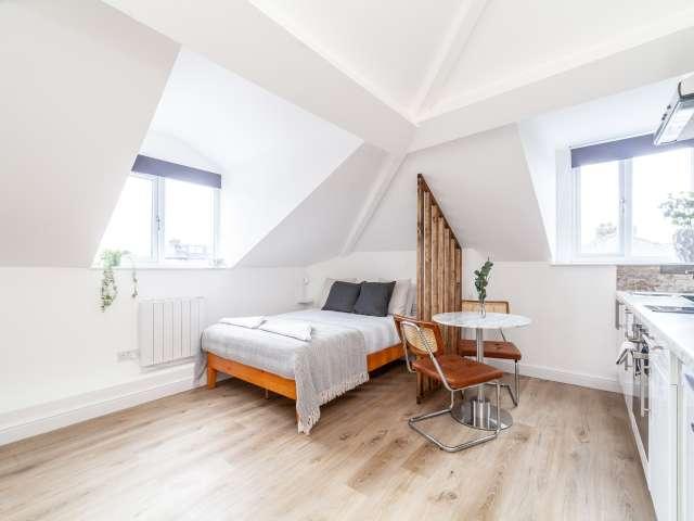 Studio for rent in Brownswood, London