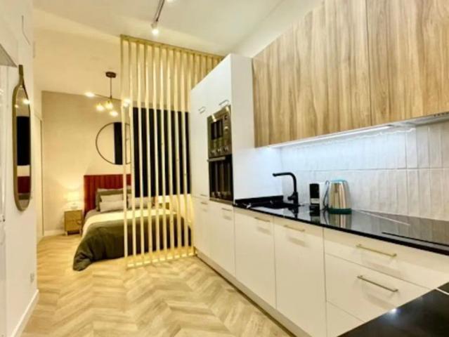 Studio for rent in Embajadores, Madrid