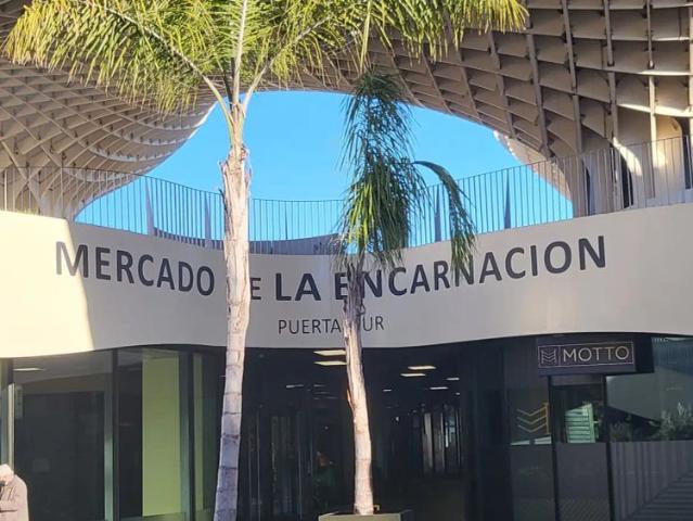 Studio for rent in Encarnación Regina, with air conditioner