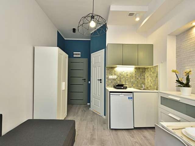 Studio for rent in Katedralna, Lodz