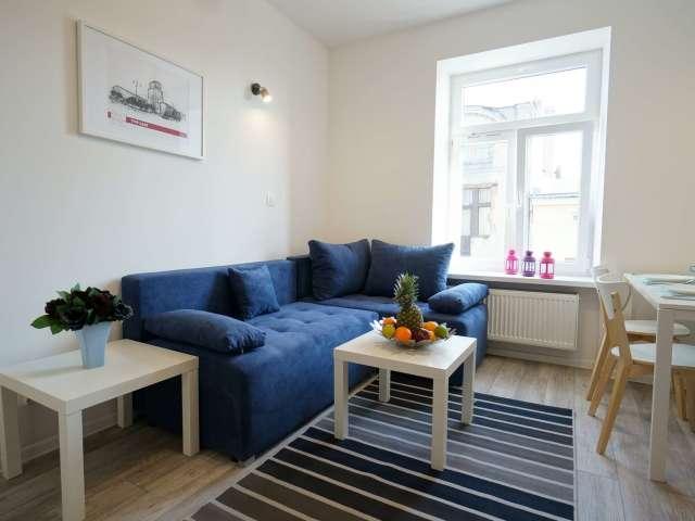 Studio for rent in Katedralna, Lodz