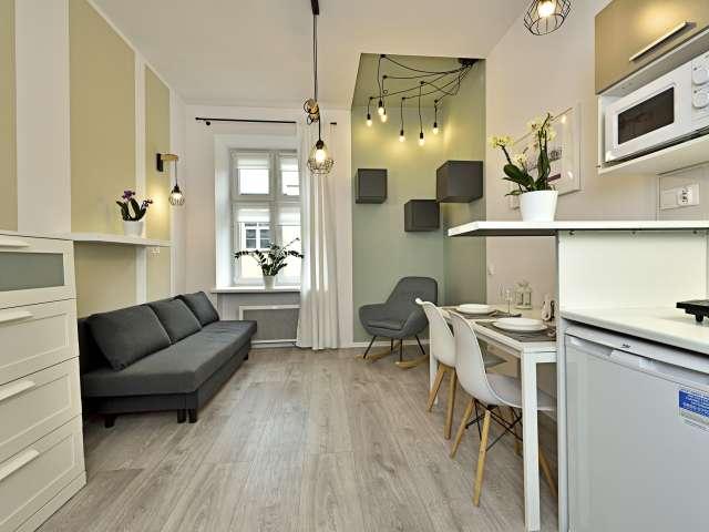 Studio for rent in Katedralna, Lodz