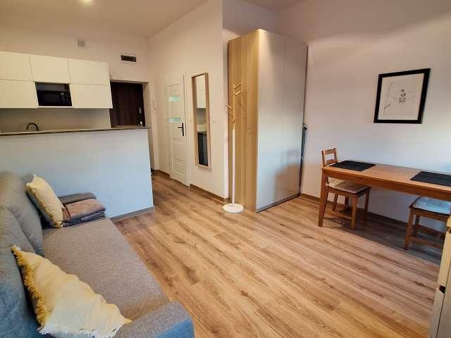 Studio for rent in Lodz