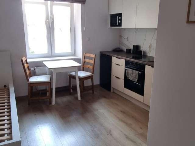 Studio for rent in Lodz