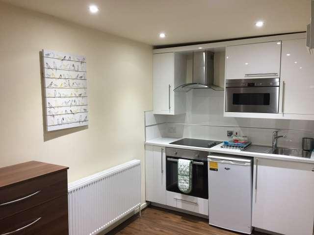 Studio for rent in Mapesbury, London