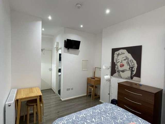 Studio for rent in Mapesbury, London