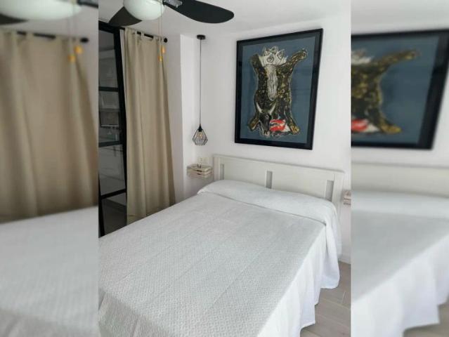 Studio for rent in San Matías Realejo, couples allowed