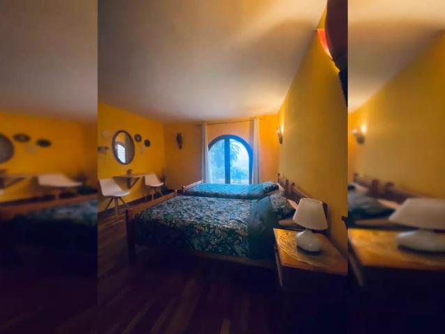 Studio for rent in Santa Úrsula, all bills included