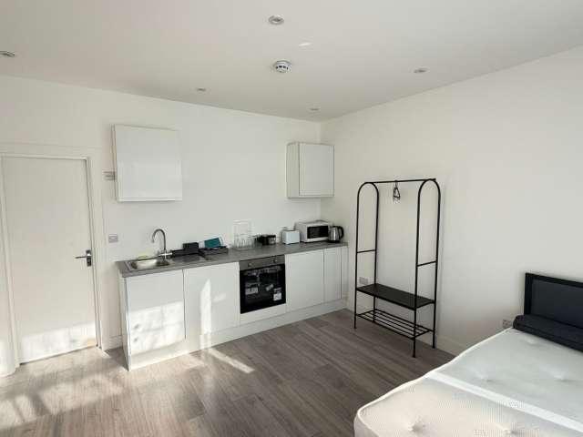 Studio for rent in Streatham Wells, London