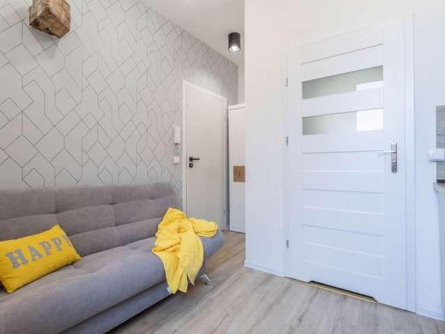 Studio for rent in Poznan