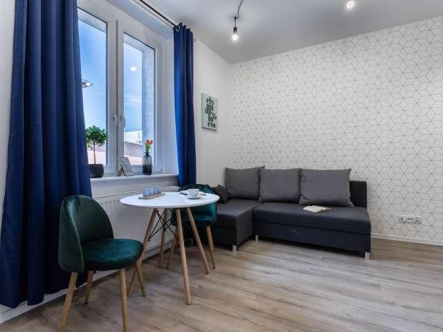 Studio for rent in Poznan