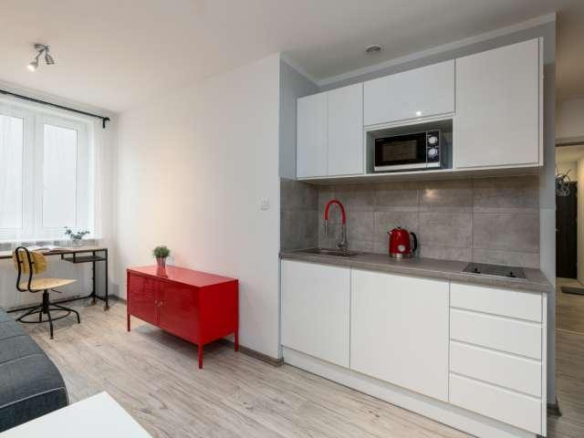 Studio for rent in Poznan
