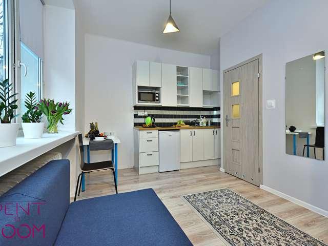 Studio for rent in Śródmieście Wschód, Lodz