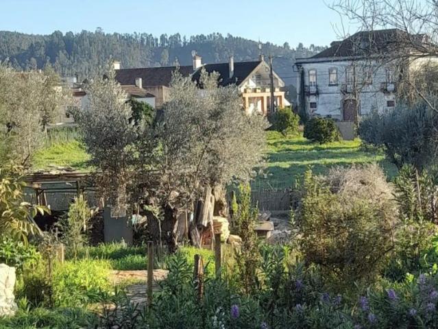 Studio for rent in Tomar, bills included