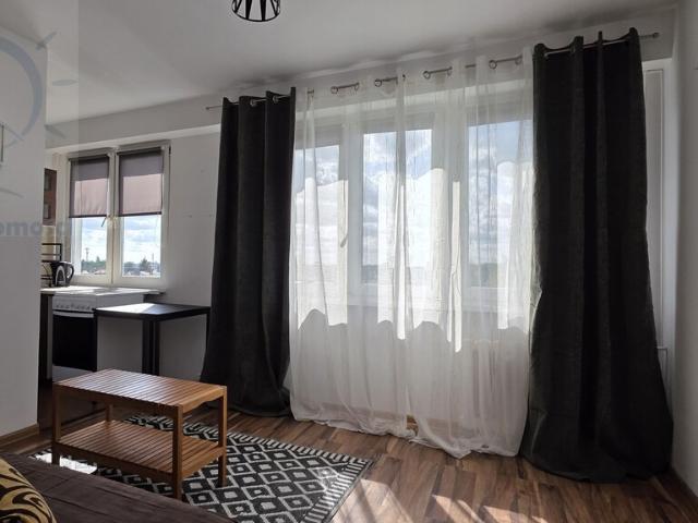 studio for rent in Toruń