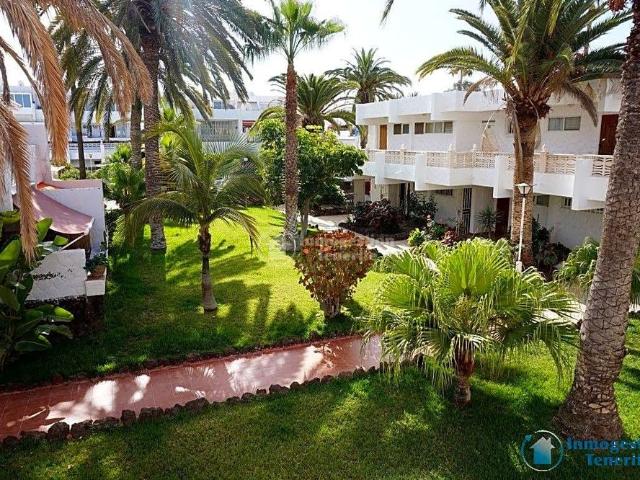 Studio for rental in Costa del Silencio
