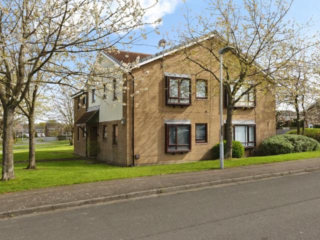 Studio for sale
