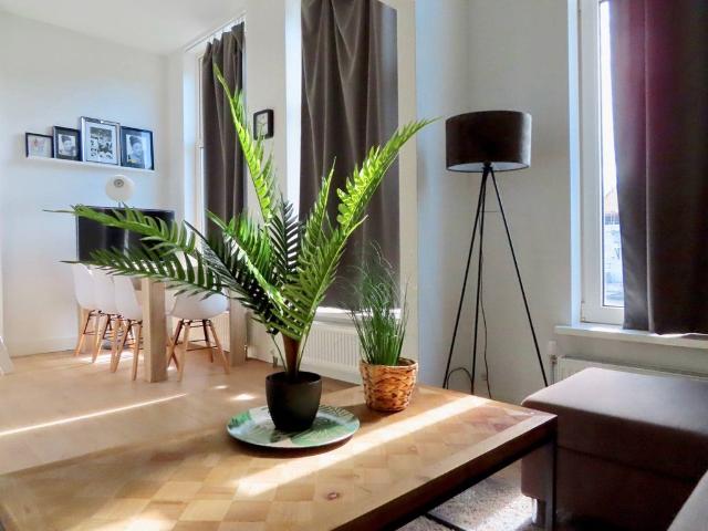 studio in Den Haag, Westerbaenstraat