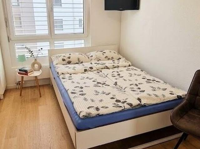 STUDIO IN LANGWIESEN ZH, FURNISHED, TEMPORARY