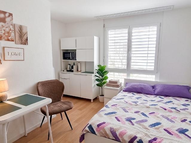 Studio in Langwiesen ZH, furnished, temporary