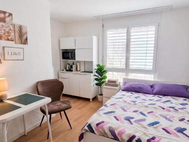 STUDIO IN LANGWIESEN ZH, MÖBLIERT, TEMPORÄR