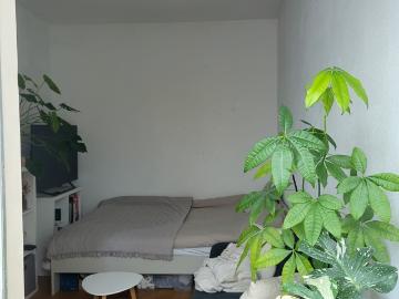 Studio in Nijmegen