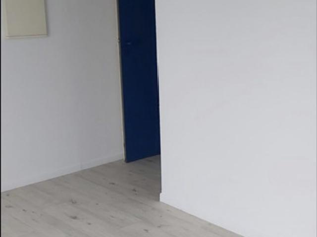studio ideal investisseur