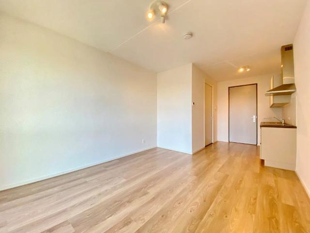 Studio Laakweg, La Haye À louer