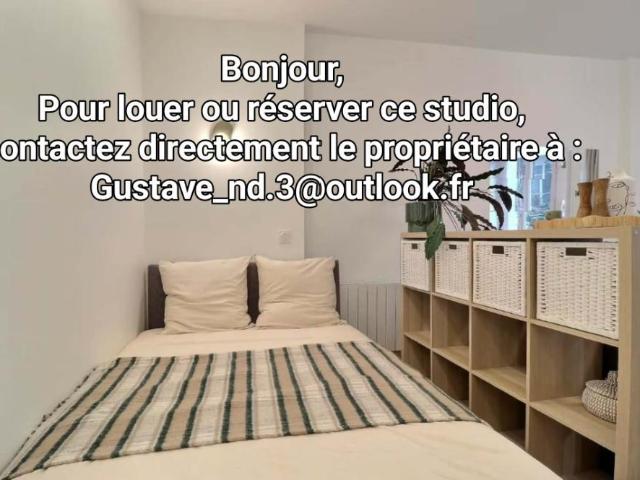 Studio lumineux à louer à Lyon 7ème, 1 pièce, 23m², étage 1