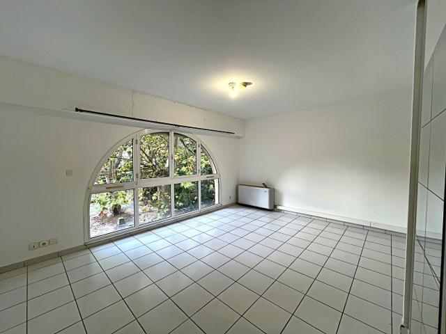 STUDIO LUMINEUX & SPACIEUX ARLES