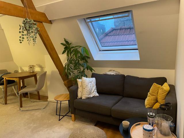 Studio met eigen bad en toilet te huur voor studenten in Breda centrum