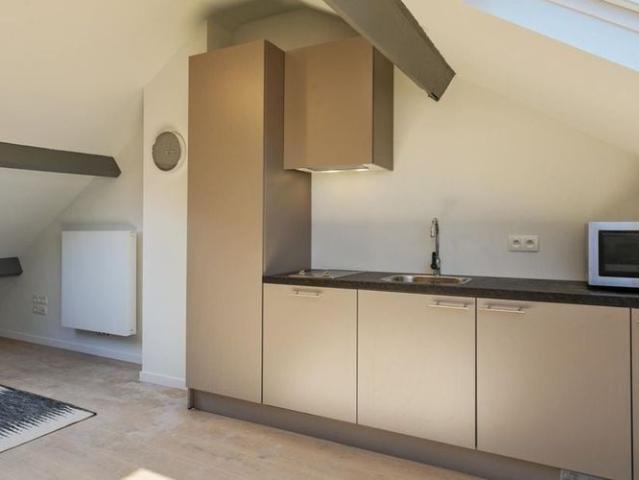 Studio met slaaphoek te huur in Leuven voor € 850 met 1 slaapkamer