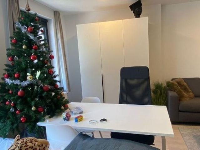 Studio met slaaphoek te huur in Leuven voor € 815 met 1 slaapkamer