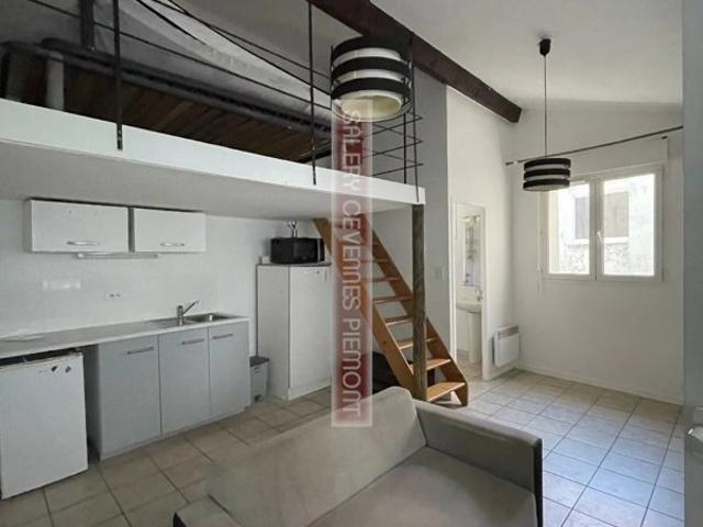 Studio meublé avec mezzanine