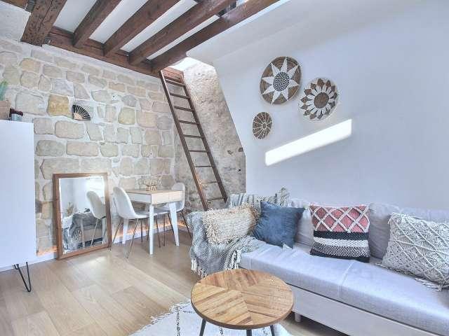 Studio meublé à louer 23 m² Faubourg Saint Martin Paris