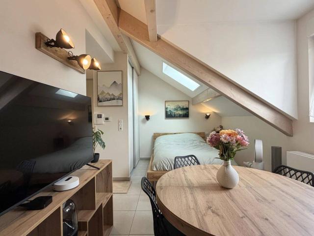 STUDIO MEUBLE DOUBLE STATIONNEMENT PERON FRONTIERE SUISSE