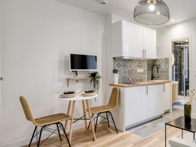studio meublé et équipé tout confort centre Paris