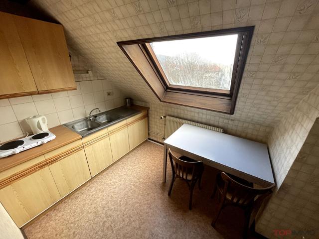 STUDIO MEUBLÉ THANN 1 pièce s 25 m2