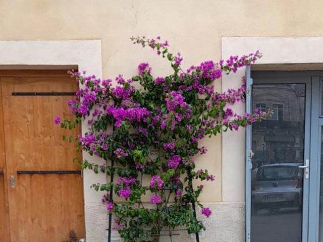 Studio meublé 28 m²